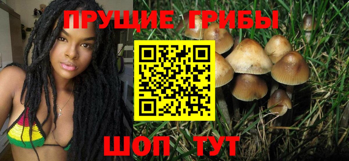 Псилоцибиновые грибы GOLDEN TEACHER Аргун