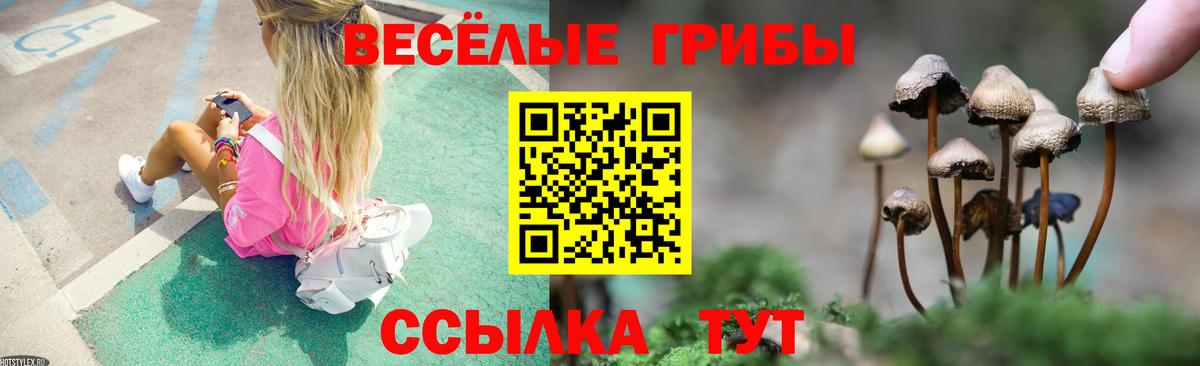 Аргун  Псилоцибиновые грибы Psilocybe  Вход с VPN 