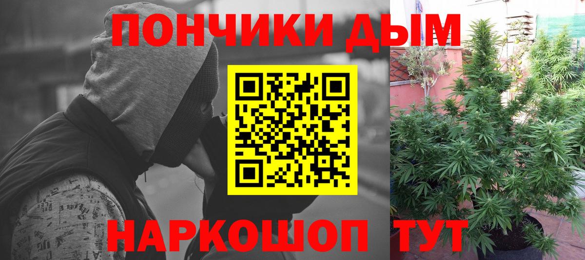 Каннабис семена  Вход с VPN  Аргун  Конопля Bruce Banner  МАРИХУАНА MAZAR 